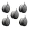 Service Caster 4'' Gray Heavy Duty Floor Safe Twin Wheel Caster 3/8'' Threaded Stem, 5PK SCC-TS02S100-TPR-GRY-381610-5 - alternate 1